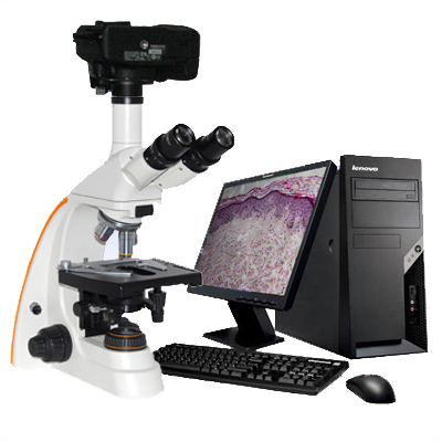 BM8A-SMUV定倍定标图像显微镜